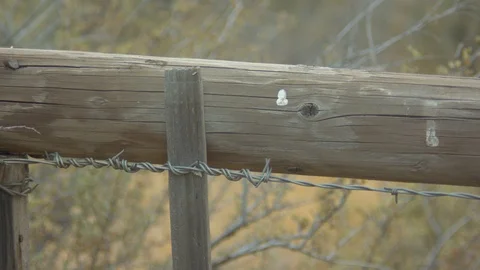 Fence and Barbed Wire Stock Footage 90151041
