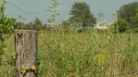 Fence and Barn Rack Focus Stock Footage 55384110