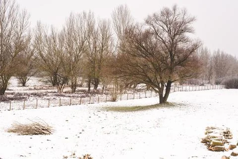 Fence and branches in snowy forest Stock Photos