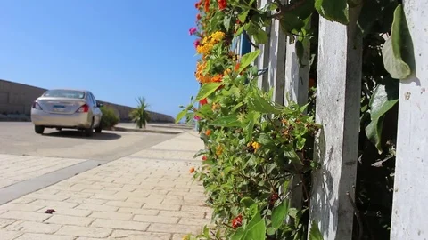 Fence and Bushes Moving with the Wind Stock Footage 83089441