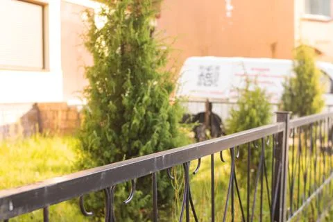 Fence and bushes in the sunlight closeup Stock Photos