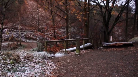 Fence and fallen logs above a brook flowing through a forest valley Stock Footage 85592144