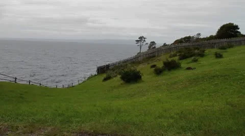 Fence and grass on hillside Stock Footage 9209775