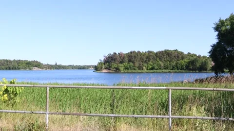 Fence and nature. Stock Footage 245089710