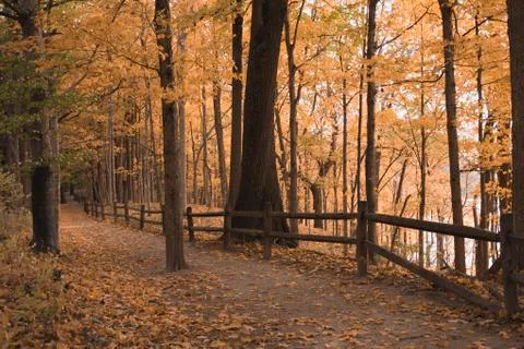 Fence and Path in a Forest During Fall Stock Photos