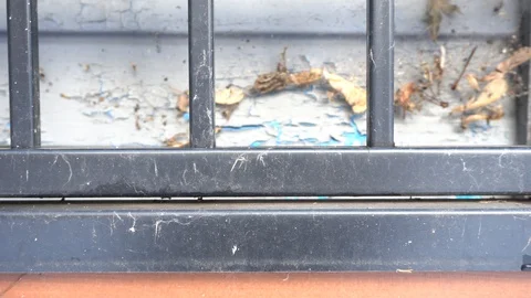 A Fence and Snow 스톡 동영상 127635355