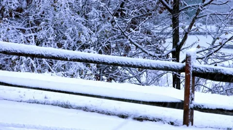 Fence and Trees in The Snow Stock Footage 44343587