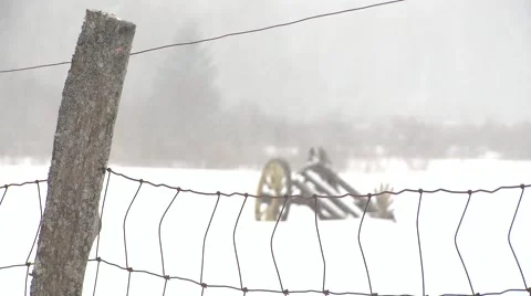 Fence Around a Field Stock Footage 46753071