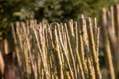 Fence around a plot of land made of untreated bars left in its natural state Stock Photos