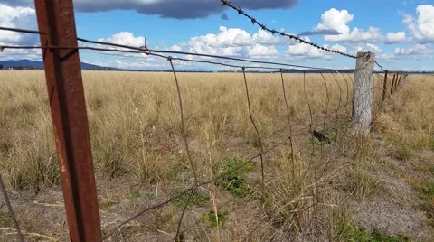 Fence Australian Landscape Video stock 40540251
