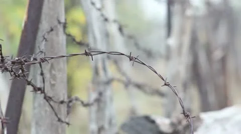 Fence with barbed wire _1 Stock Footage 12383363