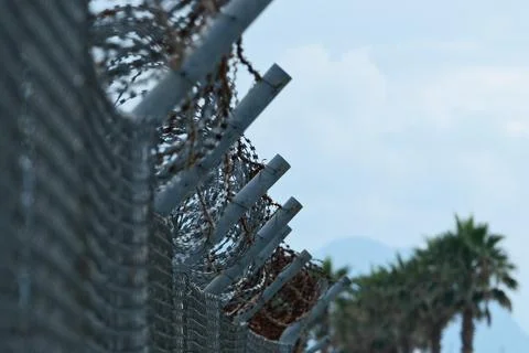 Fence of barbed wire against the background of palm trees. Stock Photos