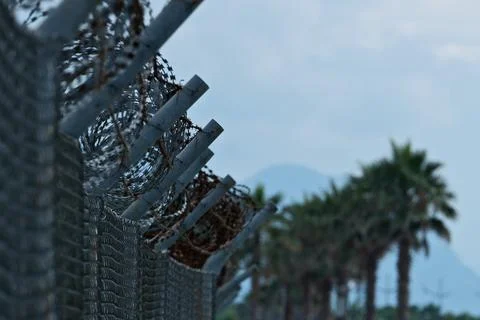 Fence of barbed wire against the background of palm trees. Stock Photos