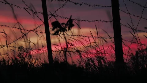 The fence with barbed wire and grass on the background of a cloudy red-blue sky. Video stock 110727672