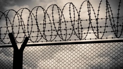 Fence with a barbed wire, animation Video stock 50297769