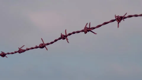 Fence with barbed wire on background blue sky. Prison, imprisonment, desire Stock Footage 132638635