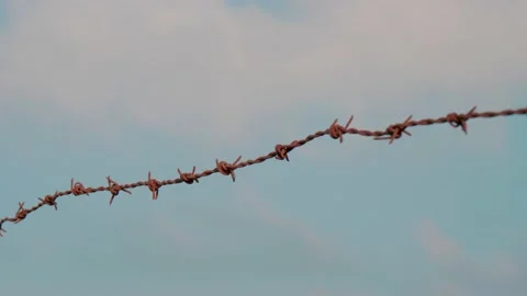 Fence with barbed wire on background blue sky. Prison, imprisonment Stock Footage 132639439