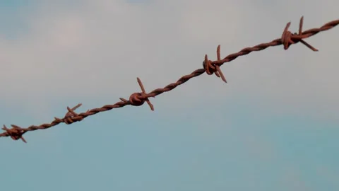 Fence with barbed wire on background blue sky. Prison, imprisonment Vidéo 132639485