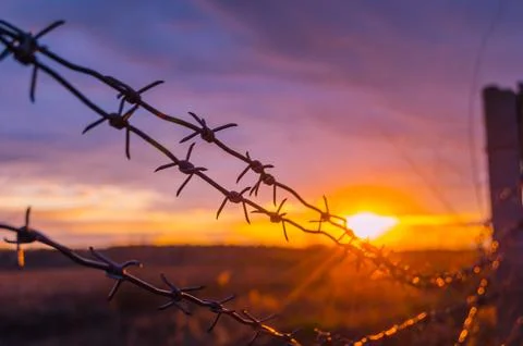 Fence with barbed wire on the background of the bright sunset Stock Photos