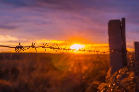 Fence with barbed wire on the background of the bright sunset Stock Photos