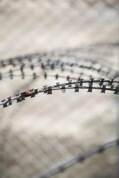 Fence barbed with wire barbwire. Stock Photos