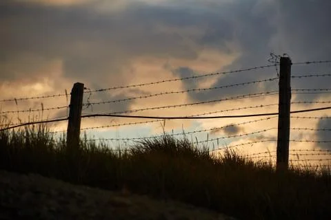 Fence of barbed wire on the border with Mongolia. Ukok Plateau Of Altai. Fabu Stock Photos