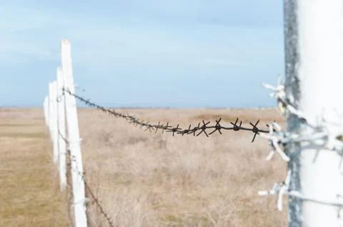 Fence with barbed wire in the field Stock Photos