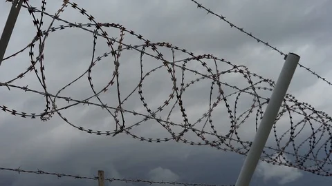 Fence With A Barbed Wire Stock Footage 98832428