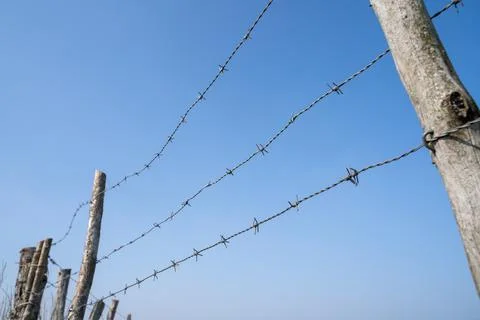 Fence with barbed wire on a nice day with blue sky in landscape Stock Photos