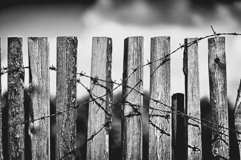 Fence with barbed wire Stock Photos