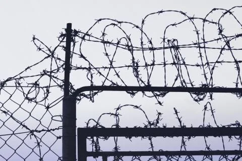 Fence with barbed wire Stock Photos