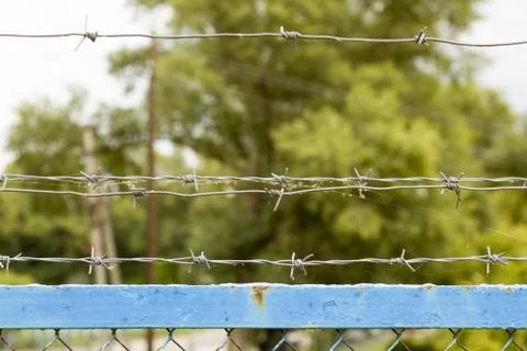 Fence with barbed wire Stock Photos