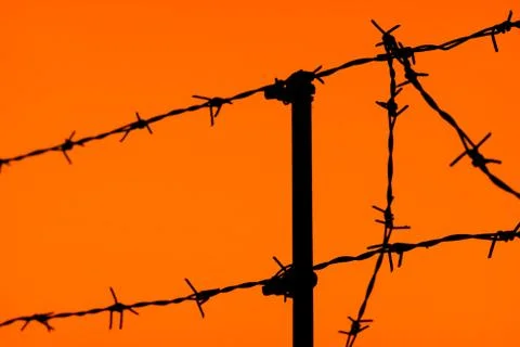 Fence of barbed wire Stockfoto's