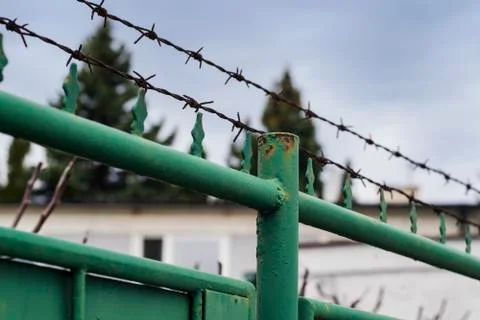 The fence with barbed wire. Stock Photos