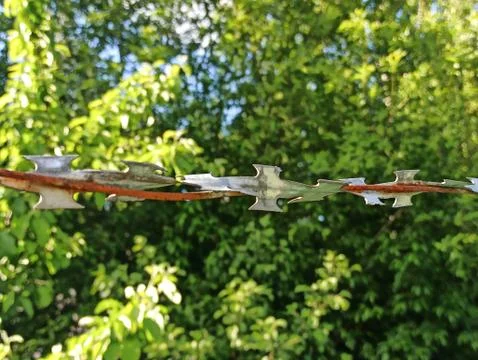 Fence With A Barbed Wire Stock Photos