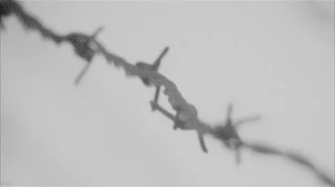 Fence Bearded Stock Footage 47035871