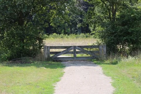 Fence between trees Stock Photos