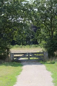 Fence between trees Stock Photos