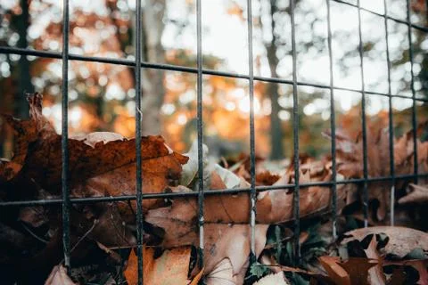 Fence with blurred background in the park Stock Photos
