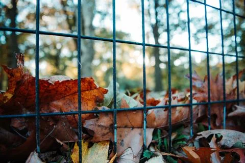 Fence with blurred background in the park Stock Photos