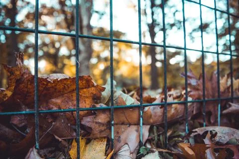 Fence with blurred background in the park Stock Photos