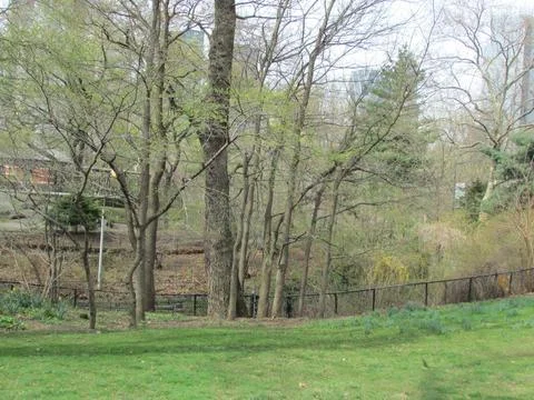 Fence bordering the park Stock Photos