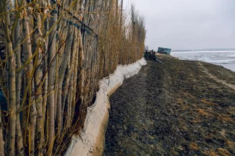 Fence of branches 스톡 사진