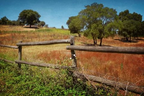 Fence in Countryside Stock Photos