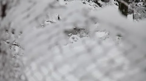 Fence covered with snow focus defocus Stock Footage 64772945