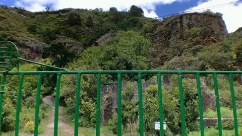 FENCE DOOR FOREST Stock Footage 101793997