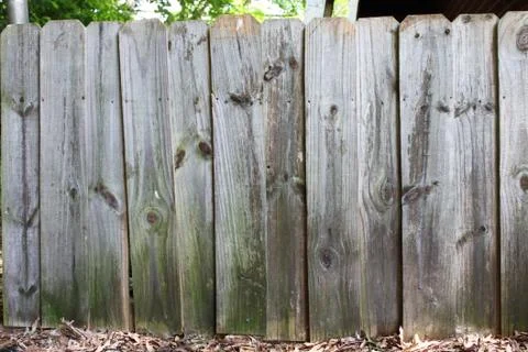 Fence Face Stock Photos