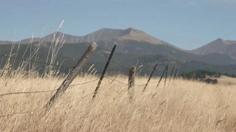 Fence field mountains 4k Stock Footage 152543460