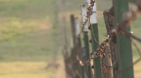Fence Focus Stock Footage 36578146