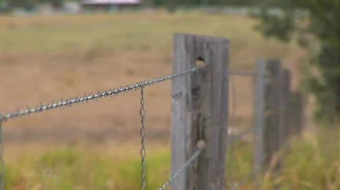 Fence focus HQ Stock Footage 493861